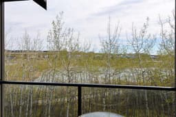 Thumbnail 20