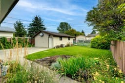 Thumbnail 31