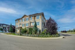 Thumbnail 29