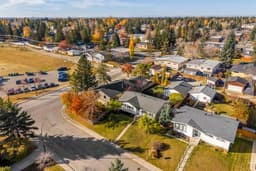 Thumbnail 43