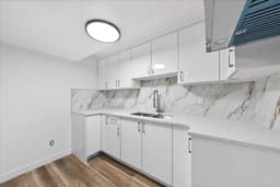 Thumbnail 46