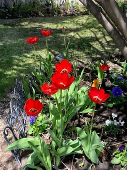 Thumbnail 31