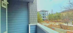Thumbnail 29