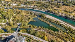 Thumbnail 13