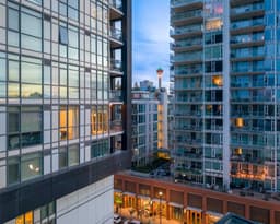 Thumbnail 38