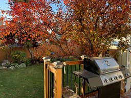 Thumbnail 30