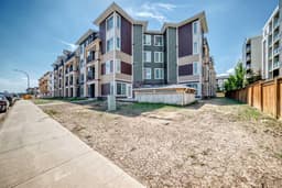 Thumbnail 41