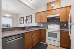 Thumbnail 17