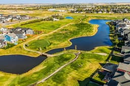 Thumbnail 43