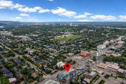 Thumbnail 46