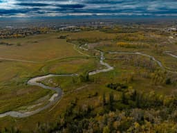 Thumbnail 39
