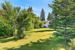 Thumbnail 31