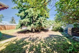 Thumbnail 47