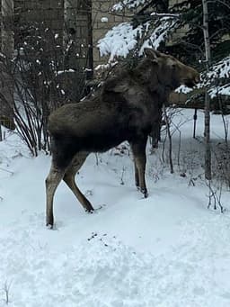 Thumbnail 28