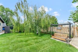 Thumbnail 49