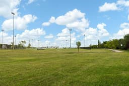 Thumbnail 31
