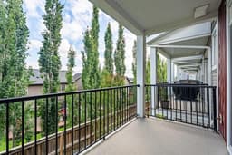 Thumbnail 16