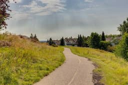 Thumbnail 36
