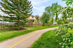 Thumbnail 33