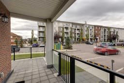 Thumbnail 22
