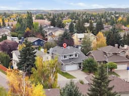 Thumbnail 46